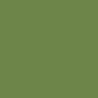 Λαδομπογιά ΒΙΟ -  Πράσινο Σκούρο Chromooxide - Ν.50603 - 1λ